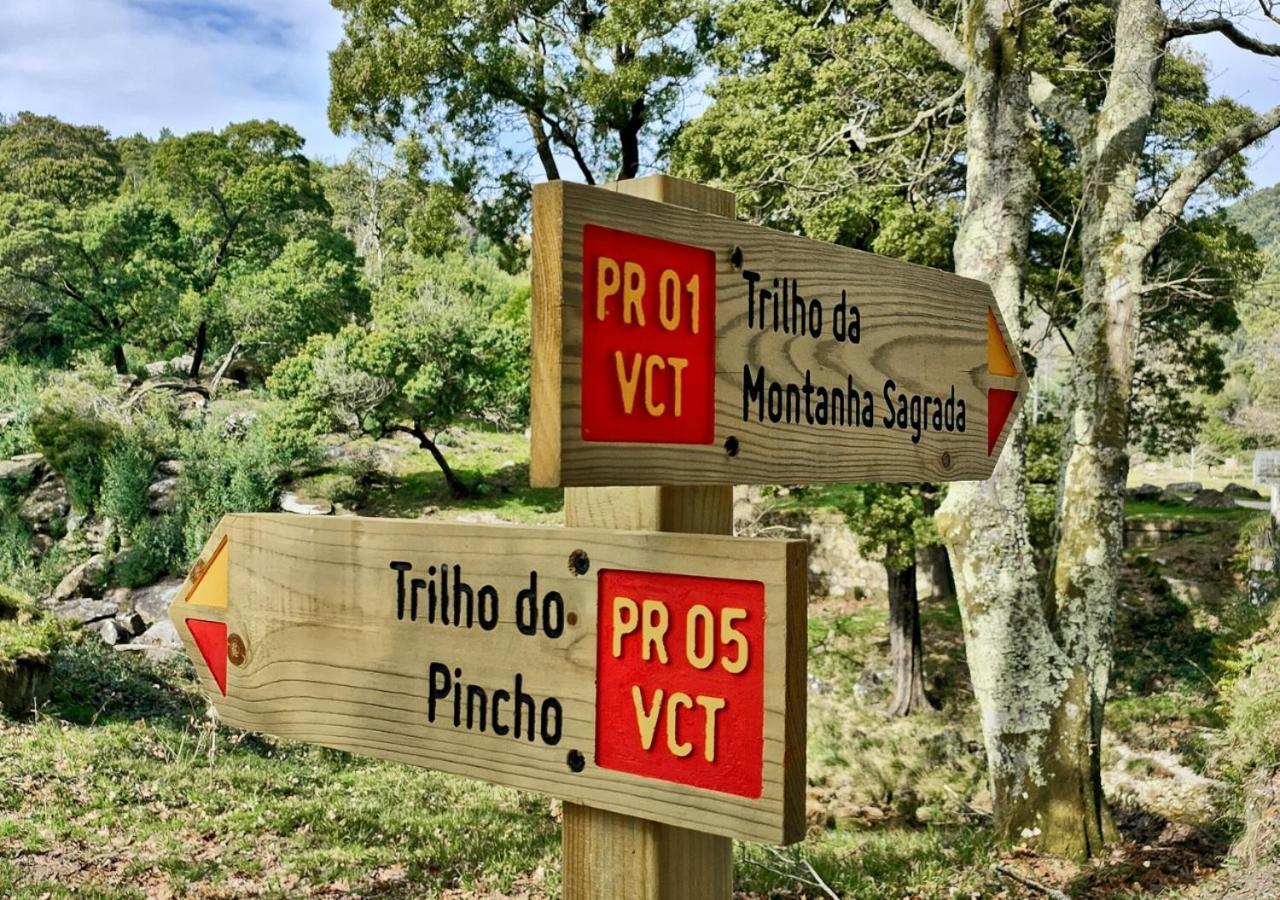 O Sossego Da Montaria Villa Viana do Castelo Ngoại thất bức ảnh
